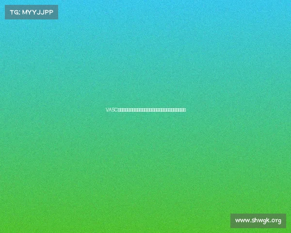 VASC智能汽车自动化赛事深入探讨从技术原理到实战策略的全面解析