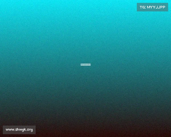 赛事标准化体系 赛事标准化体系